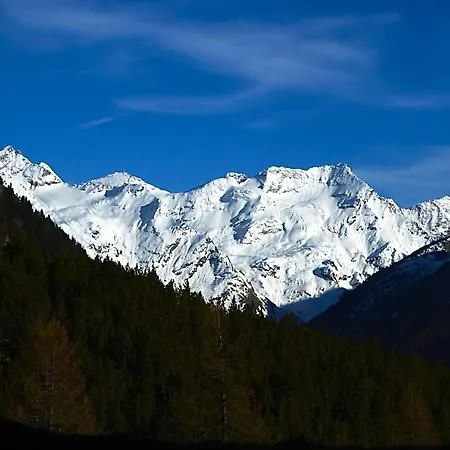 Grauson