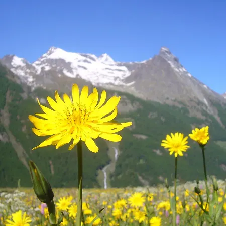 Hotel Grauson Cogne