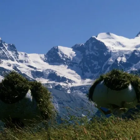 Grauson Cogne
